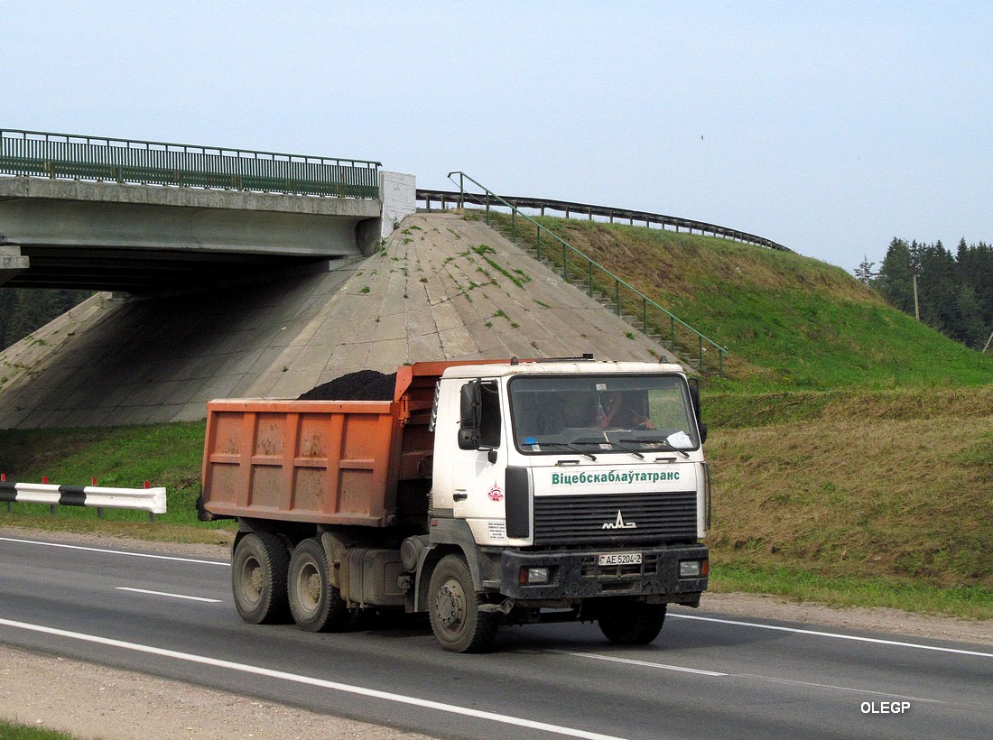 Витебская область, № АЕ 5204-2 — МАЗ-6501 (общая модель)