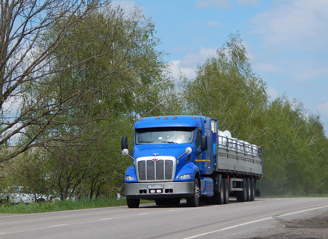 Воронежская область, № О 197 АУ 136 — Peterbilt 387