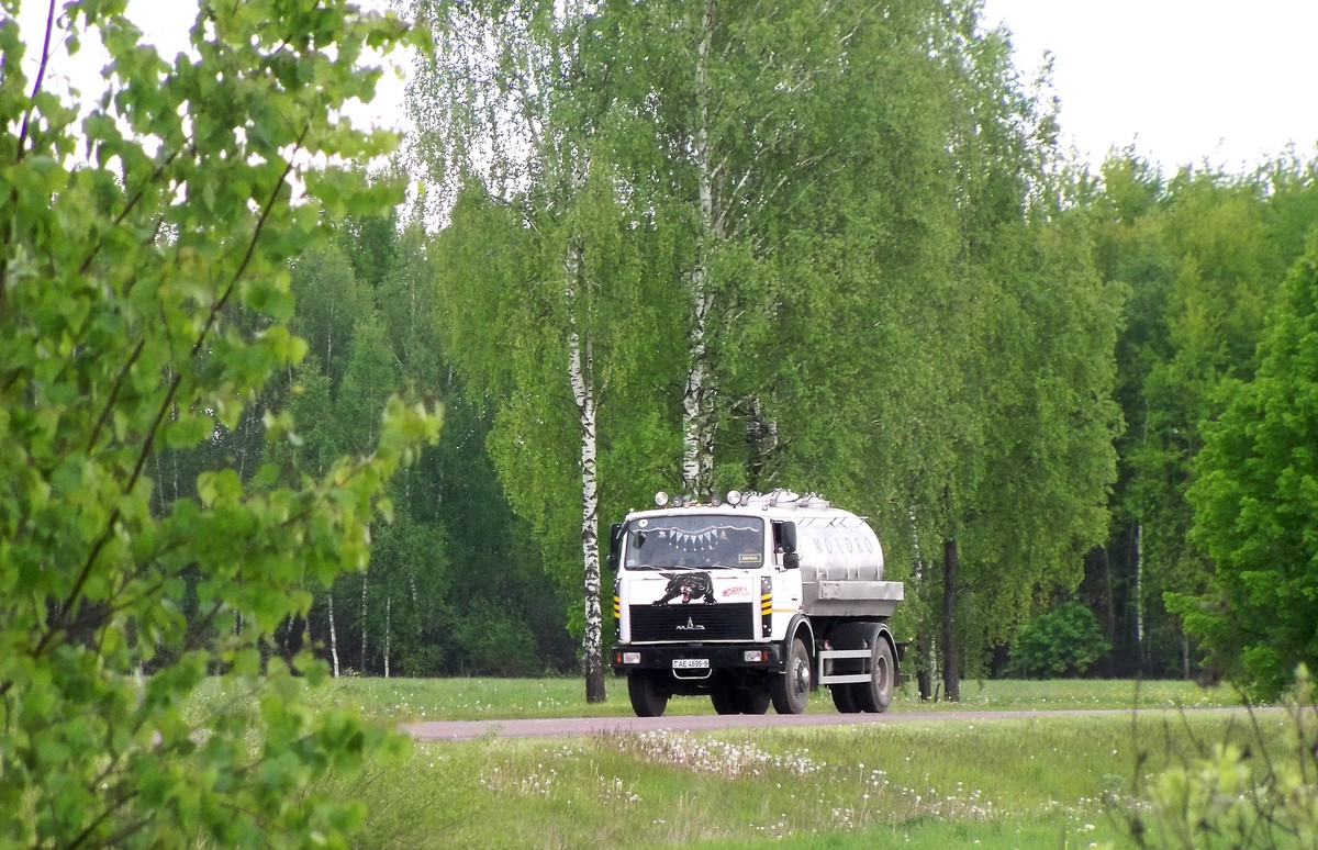 Могилёвская область, № АЕ 4695-6 — МАЗ-5337 (общая модель)