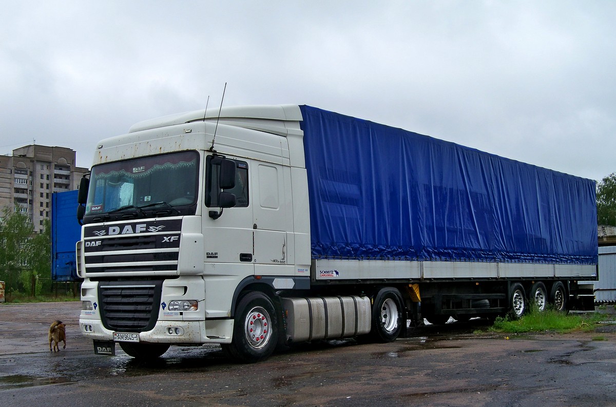 Брестская область, № АМ 9645-1 — DAF XF105 FT