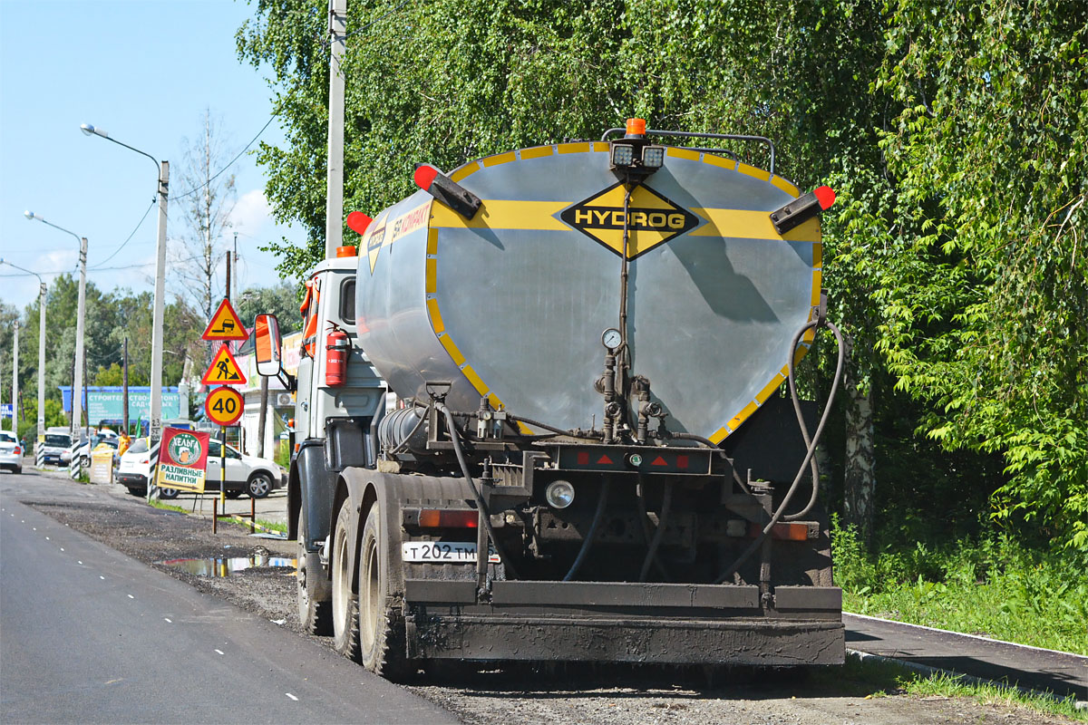 Омская область, № Т 202 ТМ 55 — КамАЗ-55111 [551110]