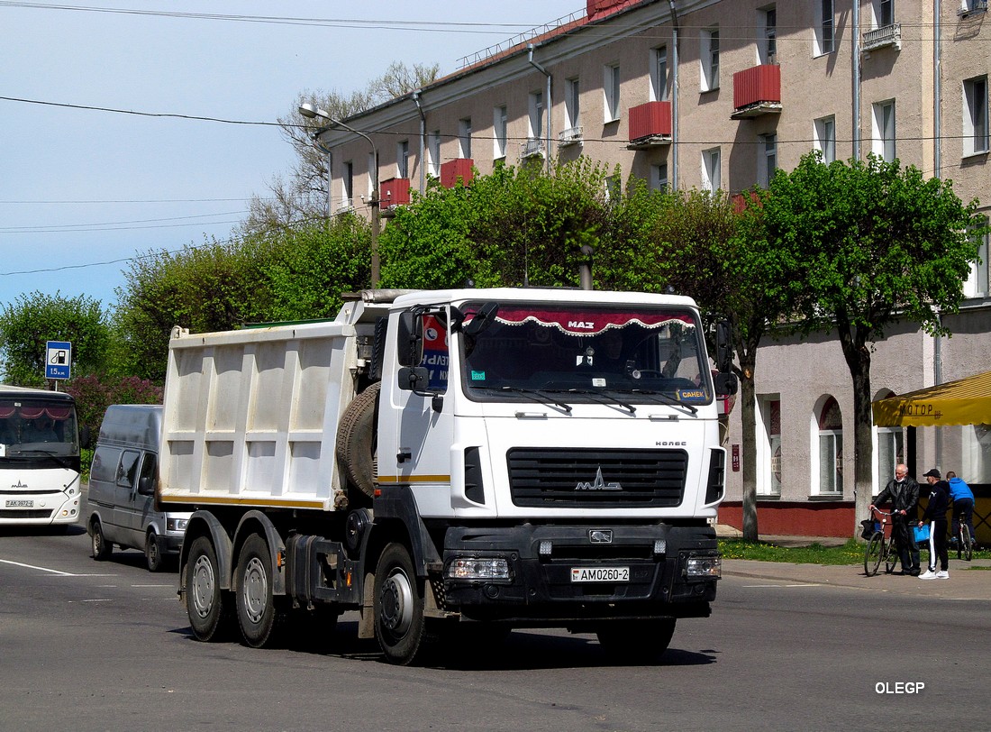 Витебская область, № АМ 0260-2 — МАЗ-6501 (общая модель)