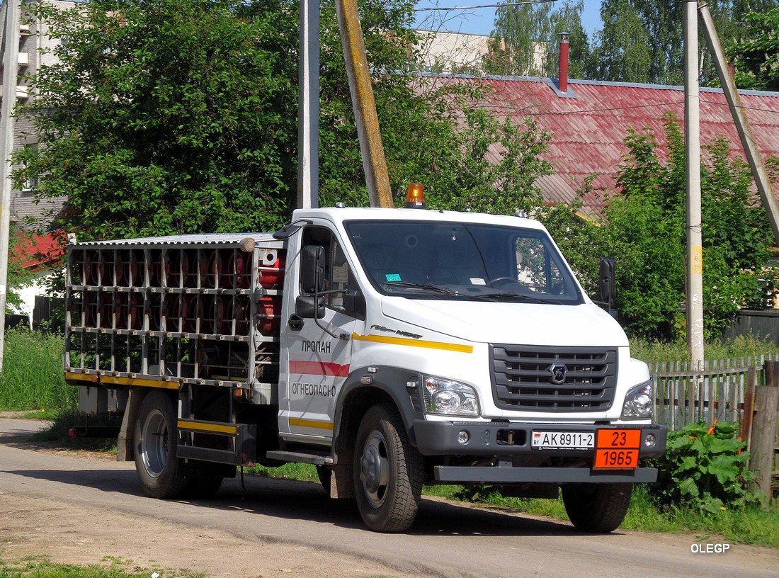 Витебская область, № АК 8911-2 — ГАЗ-C41R13