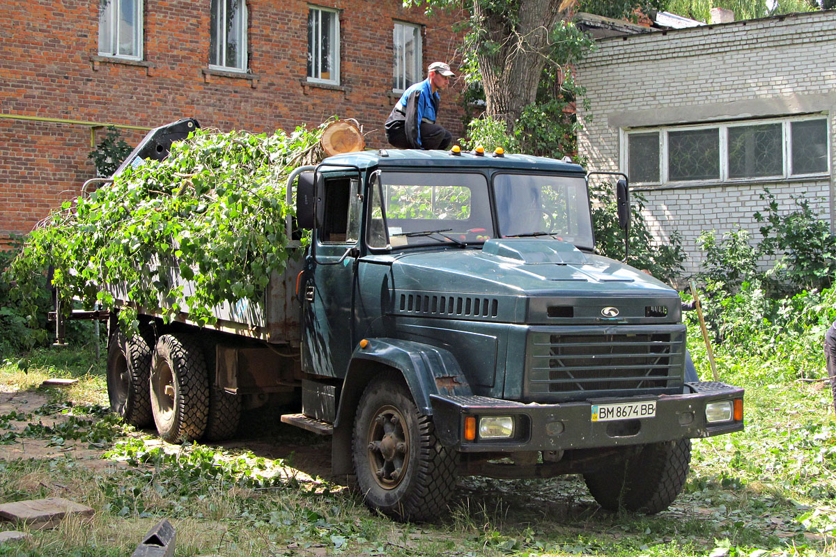 Сумская область, № ВМ 8674 ВВ — КрАЗ-65101