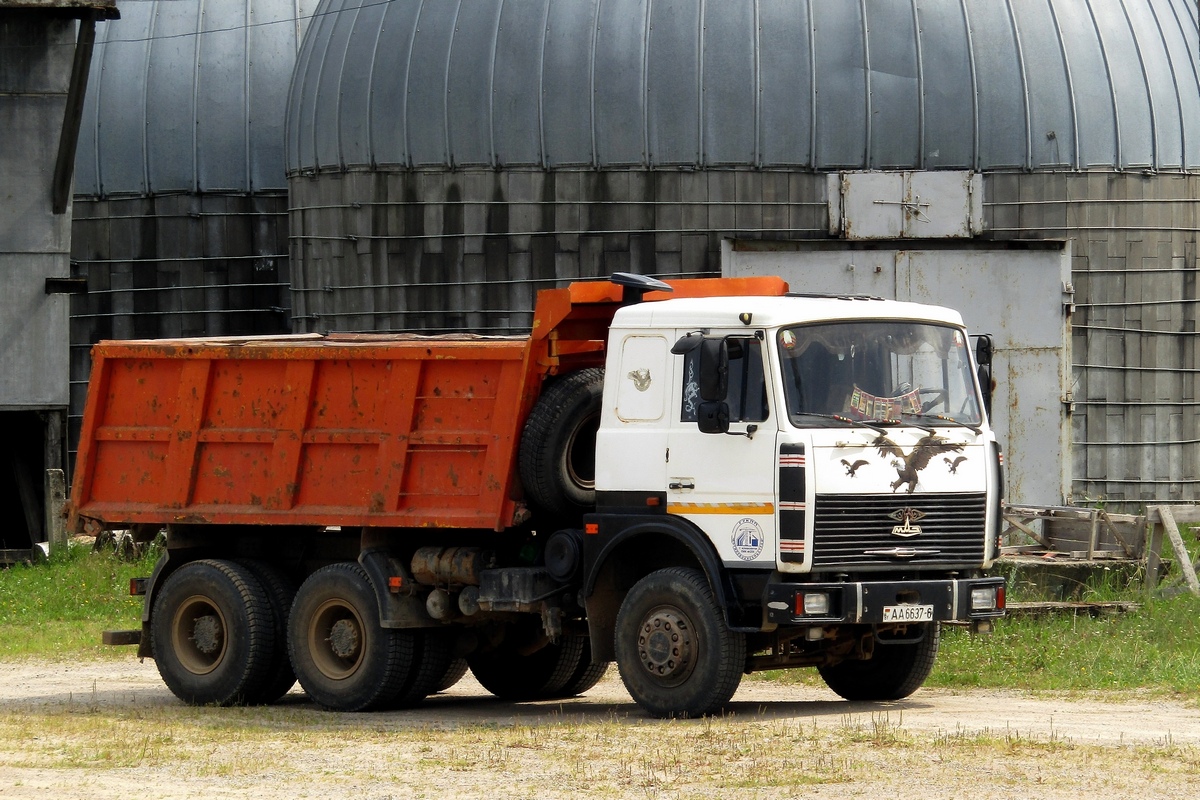 Могилёвская область, № АА 6637-6 — МАЗ-5516 (общая модель)