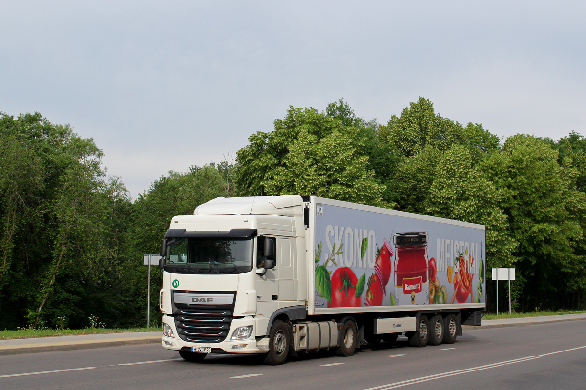 Литва, № HGV 623 — DAF XF Euro6 FT