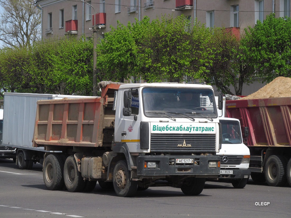 Витебская область, № АЕ 5217-2 — МАЗ-6501 (общая модель)