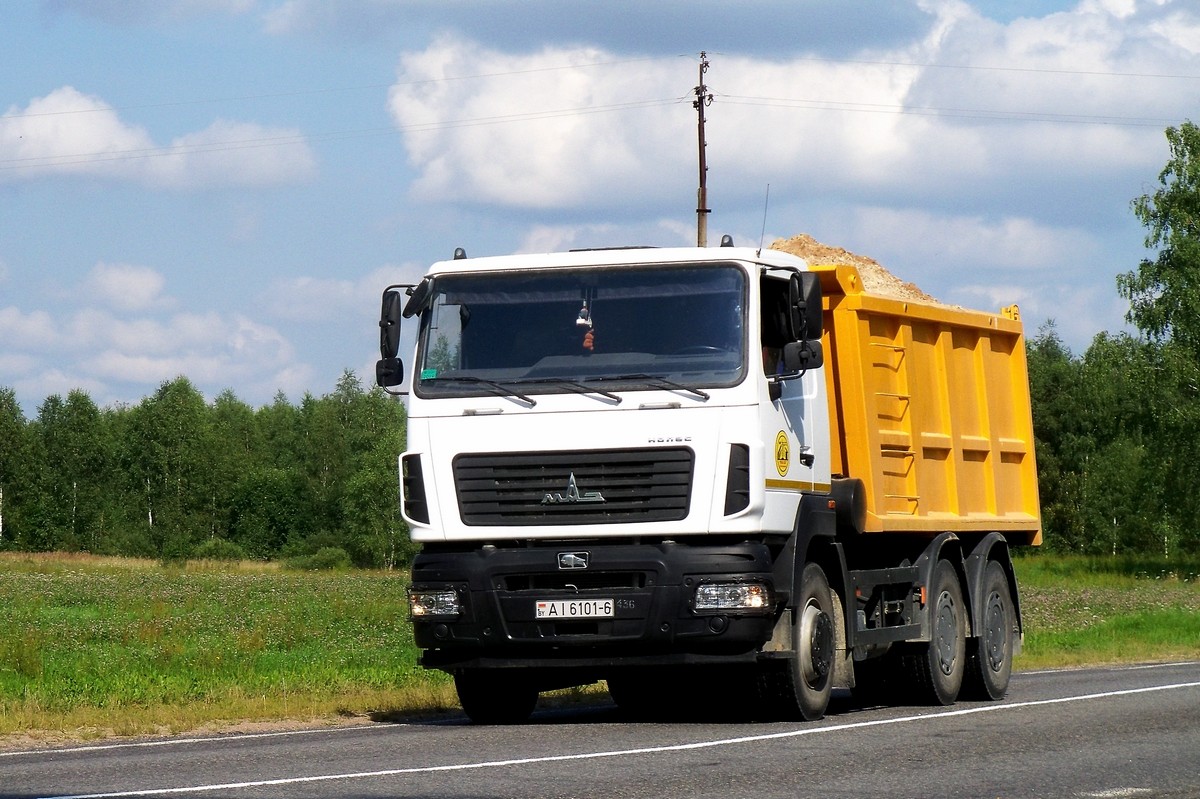 Могилёвская область, № АІ 6101-6 — МАЗ-6501C5