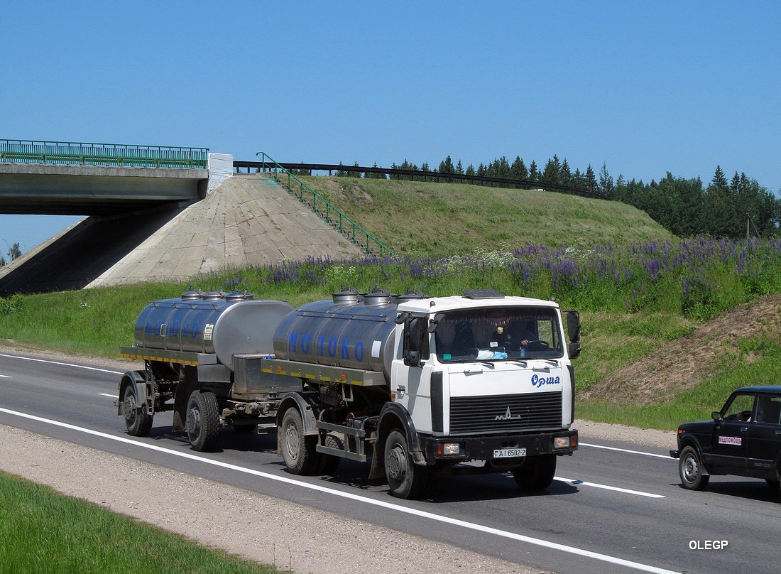 Витебская область, № АІ 6502-2 — МАЗ-5337 (общая модель)