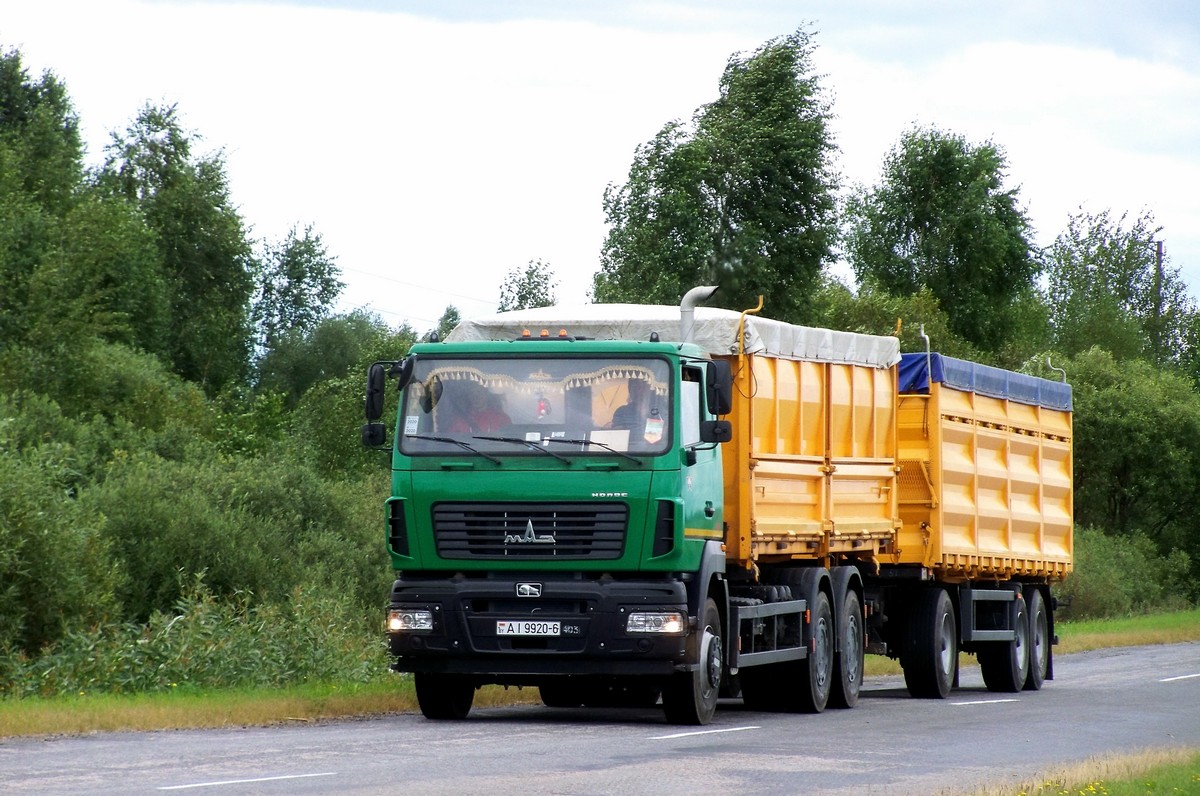 Могилёвская область, № АІ 9920-6 — МАЗ-6501C9