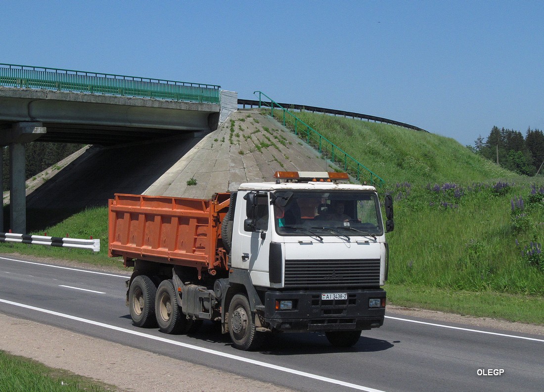 Витебская область, № АІ 3438-2 — МАЗ-6501 (общая модель)