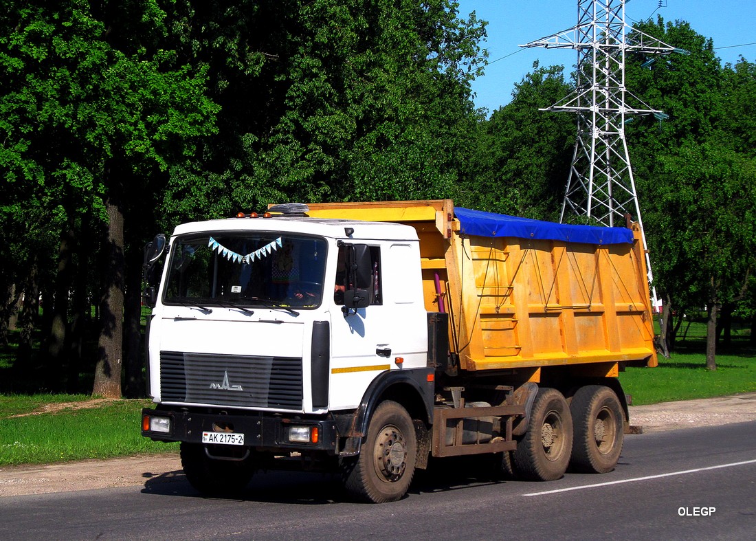 Витебская область, № АК 2175-2 — МАЗ-5516 (общая модель)