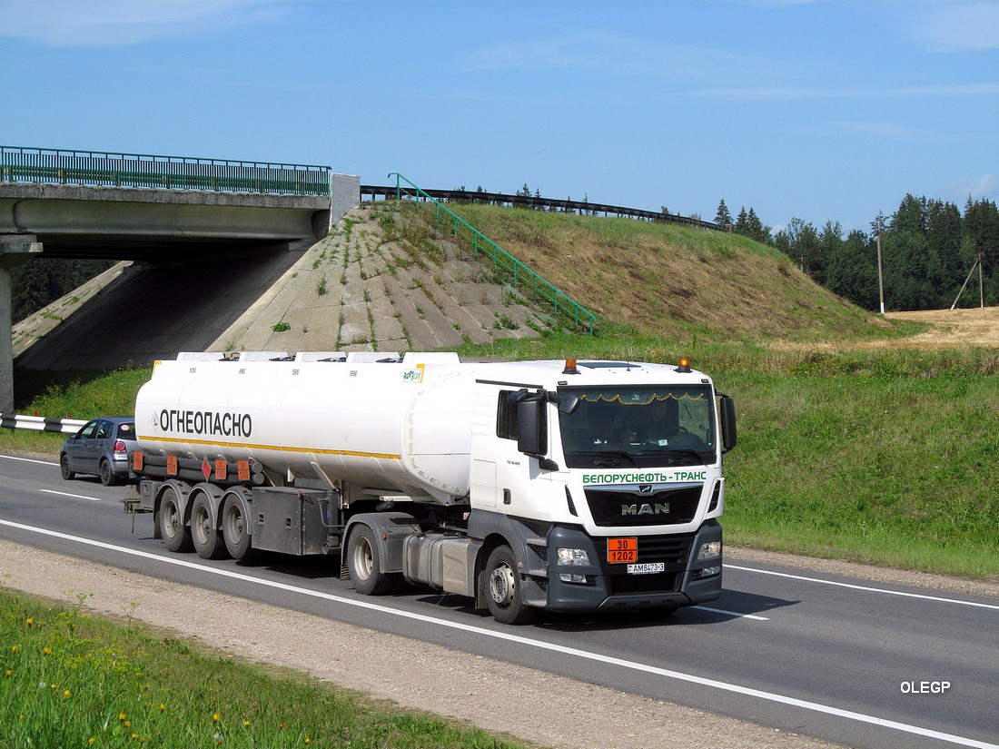 Гомельская область, № АМ 8473-3 — MAN TGX ('2016) 18.420