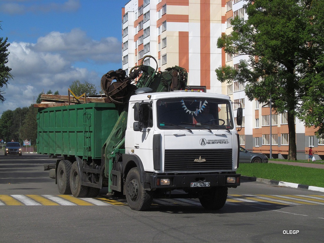 Витебская область, № АЕ 1424-2 — МАЗ-6303 (общая модель)