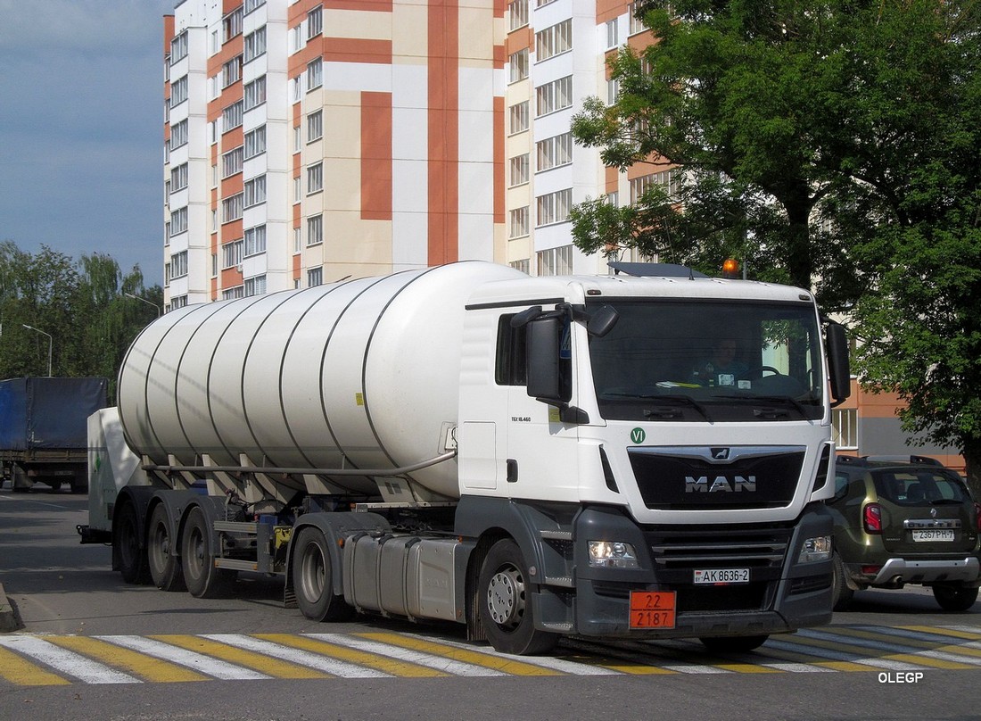 Витебская область, № АК 8636-2 — MAN TGX ('2016) 18.460