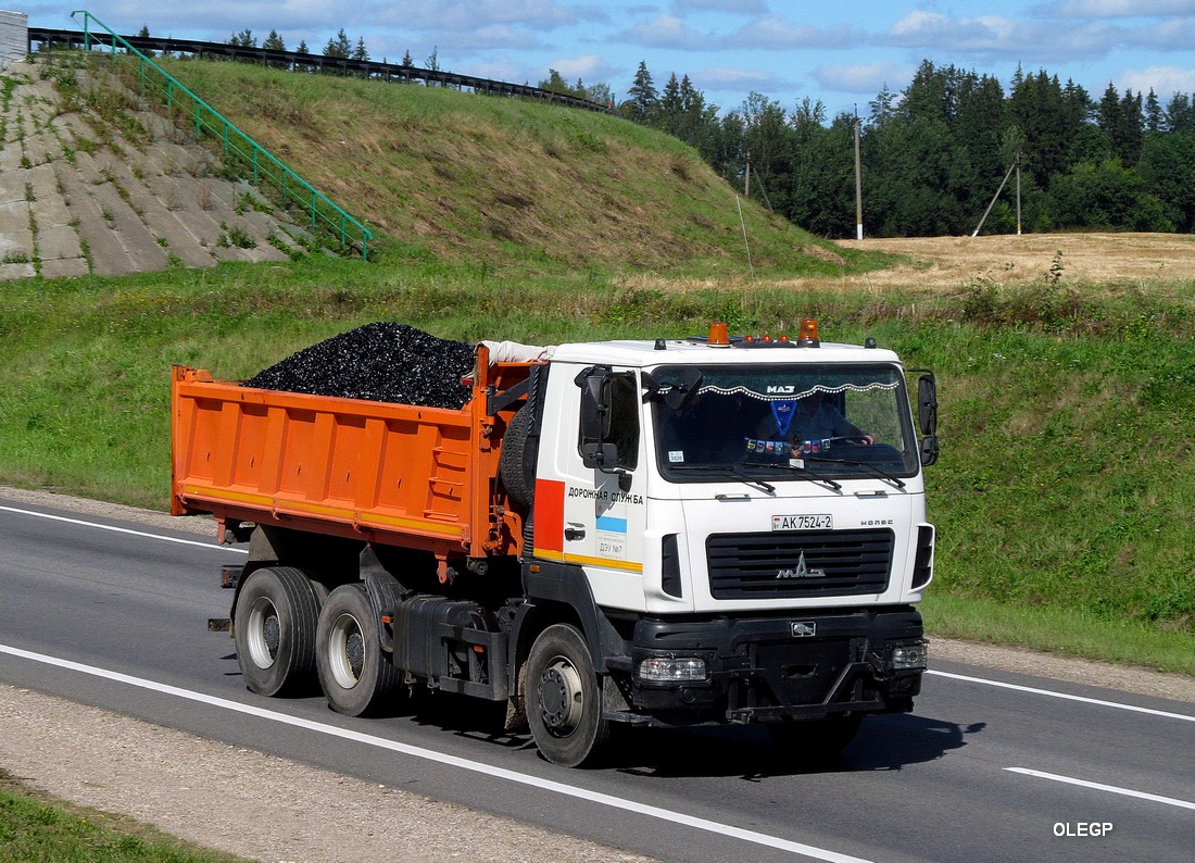 Витебская область, № АК 7524-2 — МАЗ-6501 (общая модель)