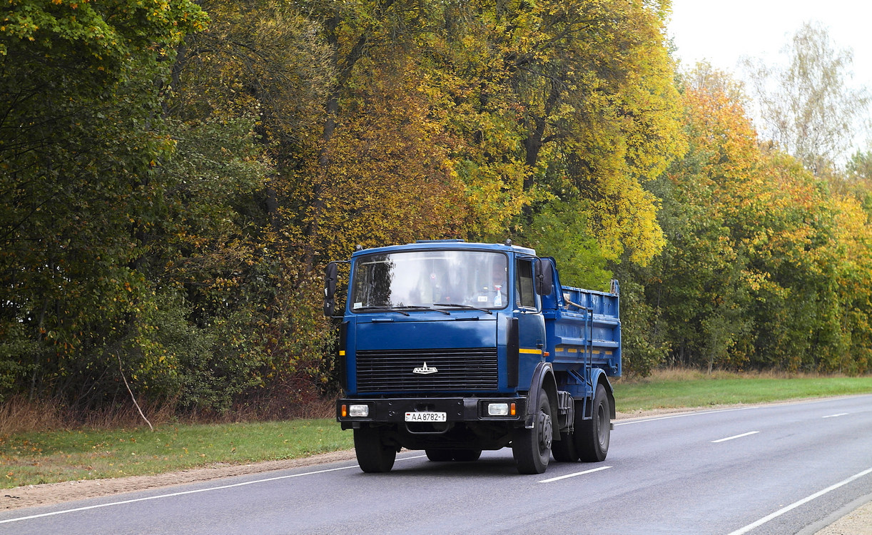 Брестская область, № АА 8782-1 — МАЗ-5551 (общая модель)