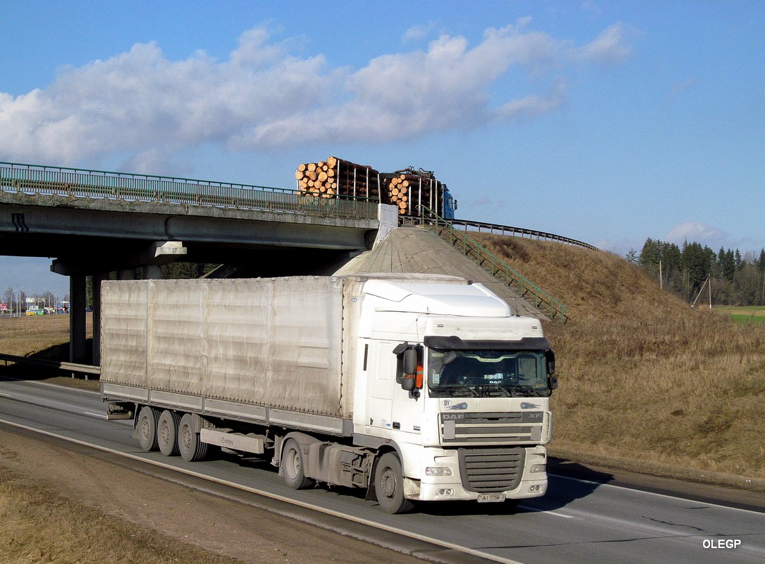 Гомельская область, № АІ 7755-3 — DAF XF105 FT