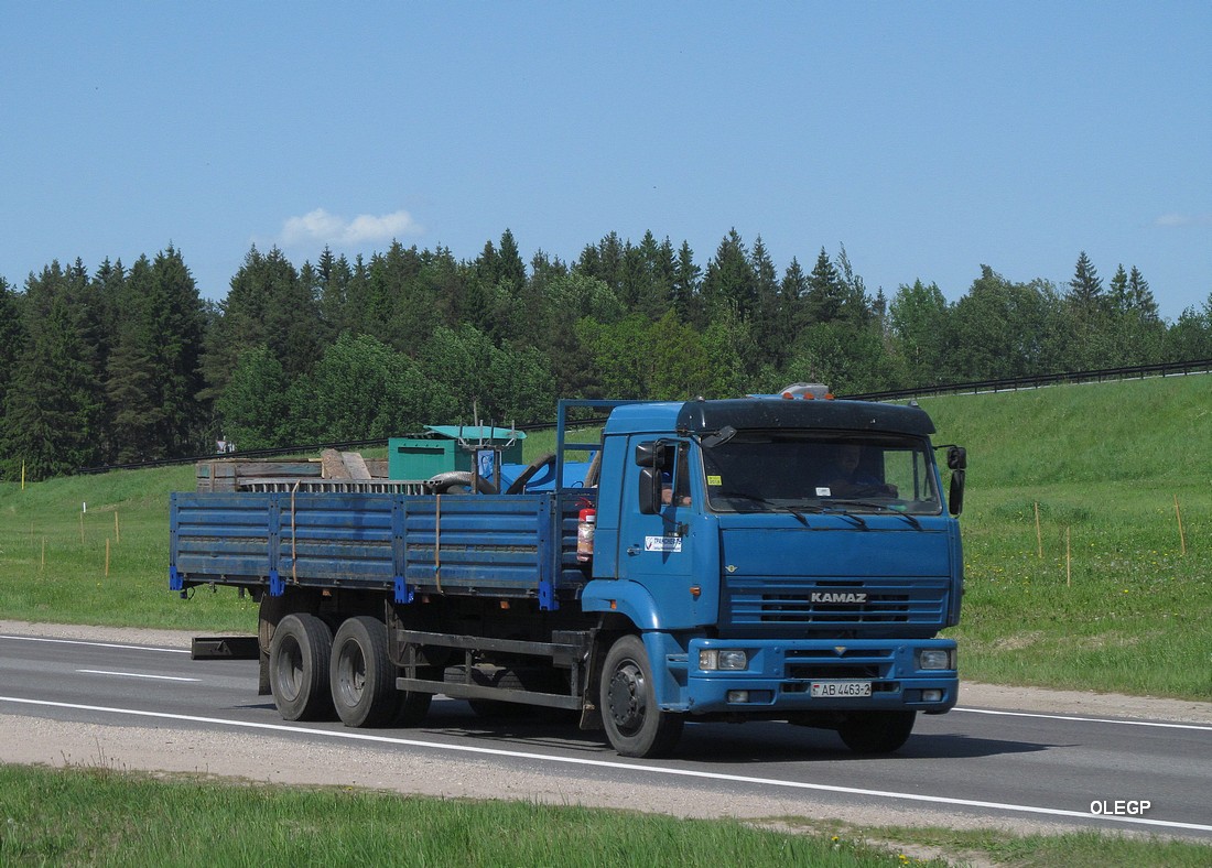 Витебская область, № АВ 4463-2 — КамАЗ-65117 (общая модель)