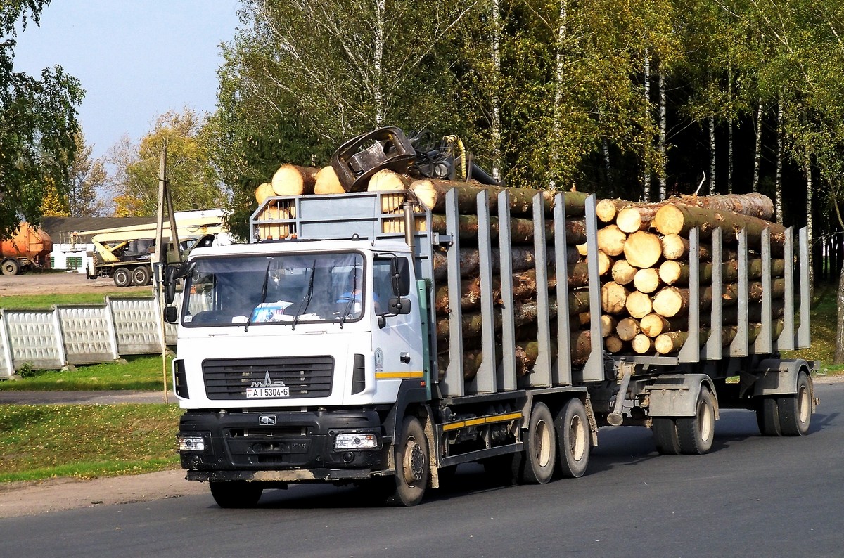 Могилёвская область, № АІ 5304-6 — МАЗ-6312B9