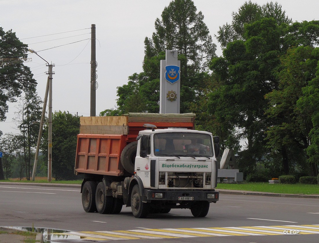 Витебская область, № АВ 8981-2 — МАЗ-5516 (общая модель)