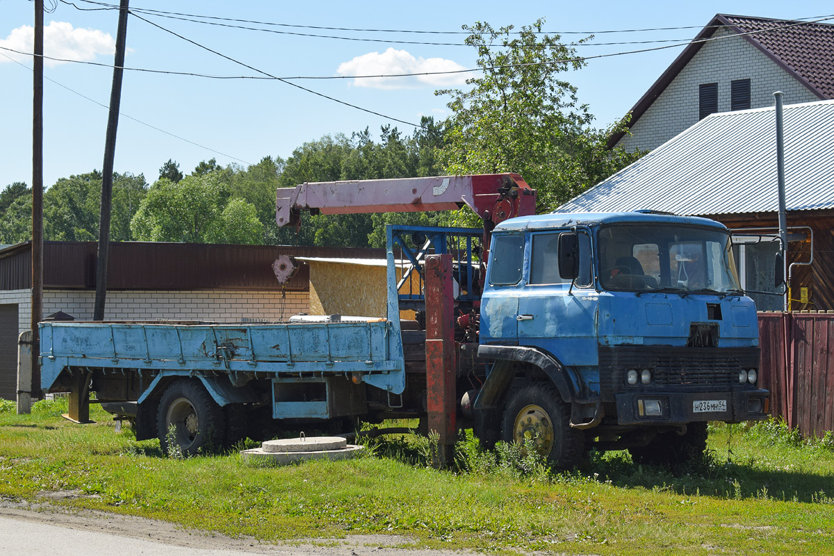 Алтайский край, № Н 236 МН 54 — Mitsubishi Fuso (общая модель)