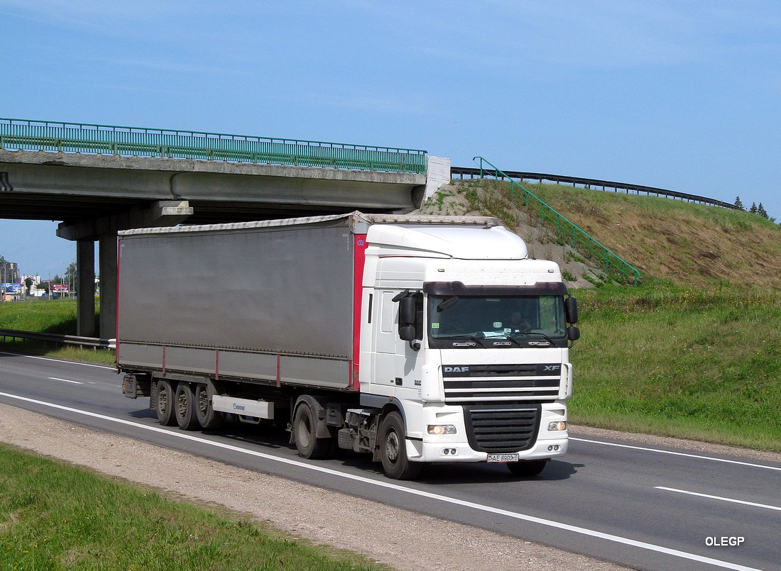 Могилёвская область, № АЕ 8900-6 — DAF XF105 FT