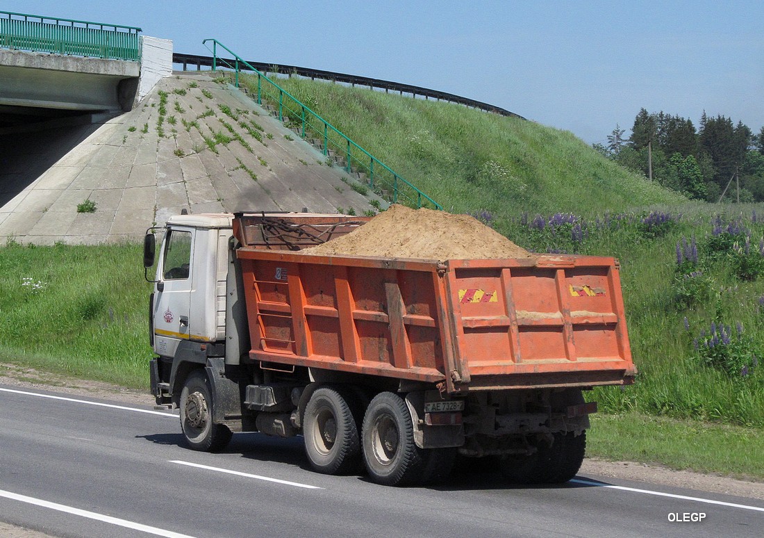 Витебская область, № АЕ 7328-2 — МАЗ-6501 (общая модель)