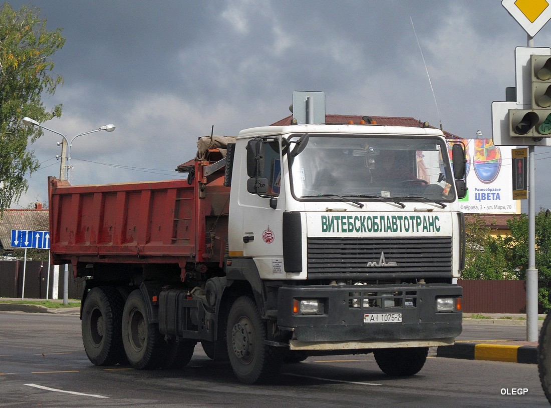 Витебская область, № АІ 1075-2 — МАЗ-6501 (общая модель)