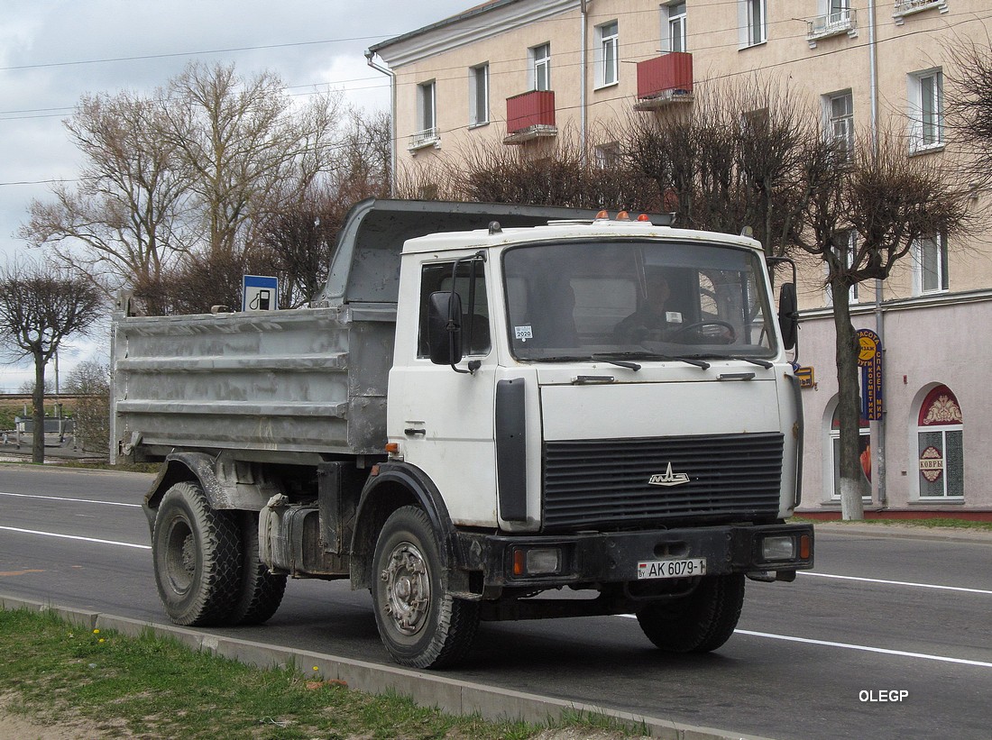 Брестская область, № АК 6079-1 — МАЗ-5551 (общая модель)