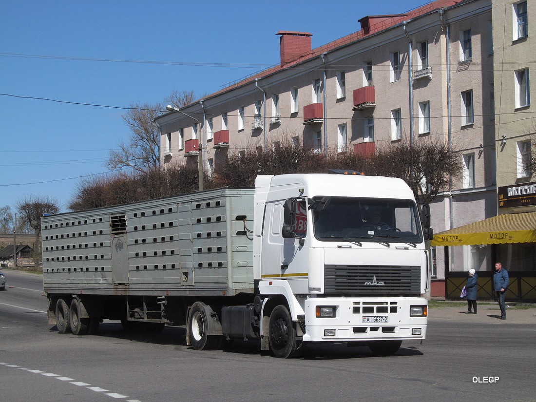 Витебская область, № АІ 6637-2 — МАЗ-5440 (общая модель)