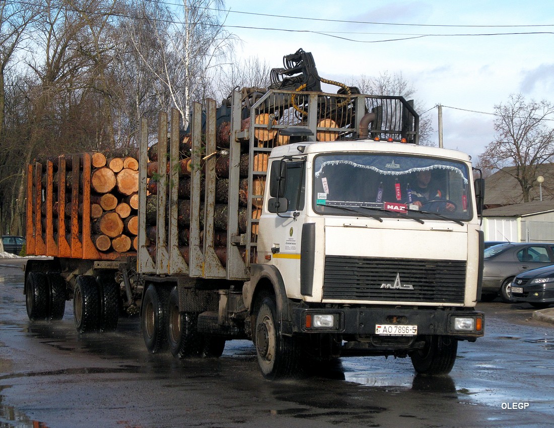 Минская область, № АО 7896-5 — МАЗ-6303 (общая модель)