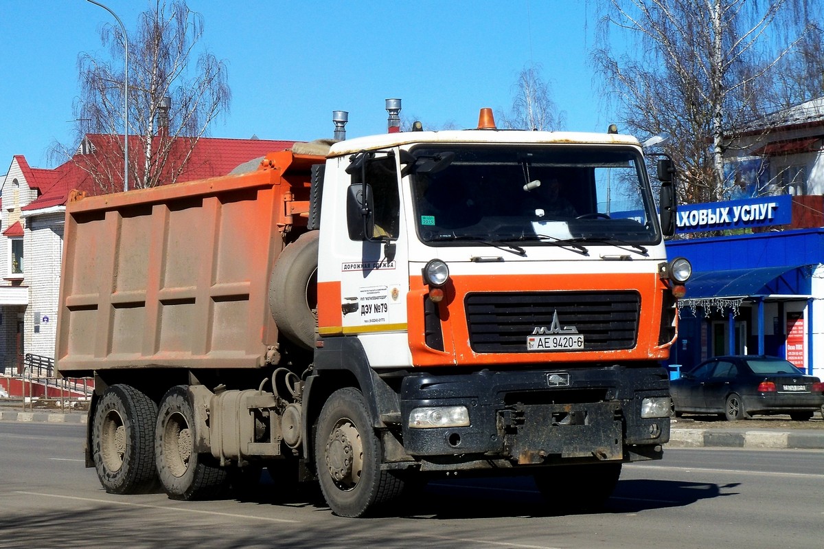 Могилёвская область, № АЕ 9420-6 — МАЗ-6501 (общая модель)