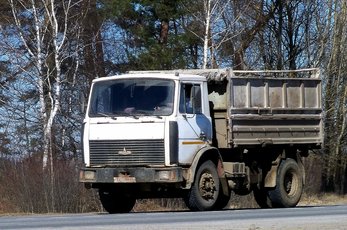 Могилёвская область, № ТС 6160 — МАЗ-5551 (общая модель)