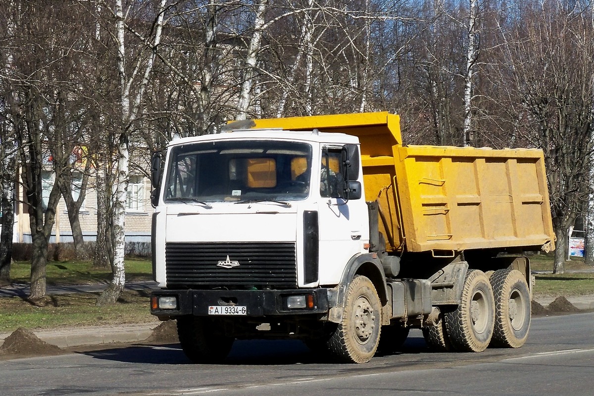 Могилёвская область, № АІ 9334-6 — МАЗ-5516 (общая модель)