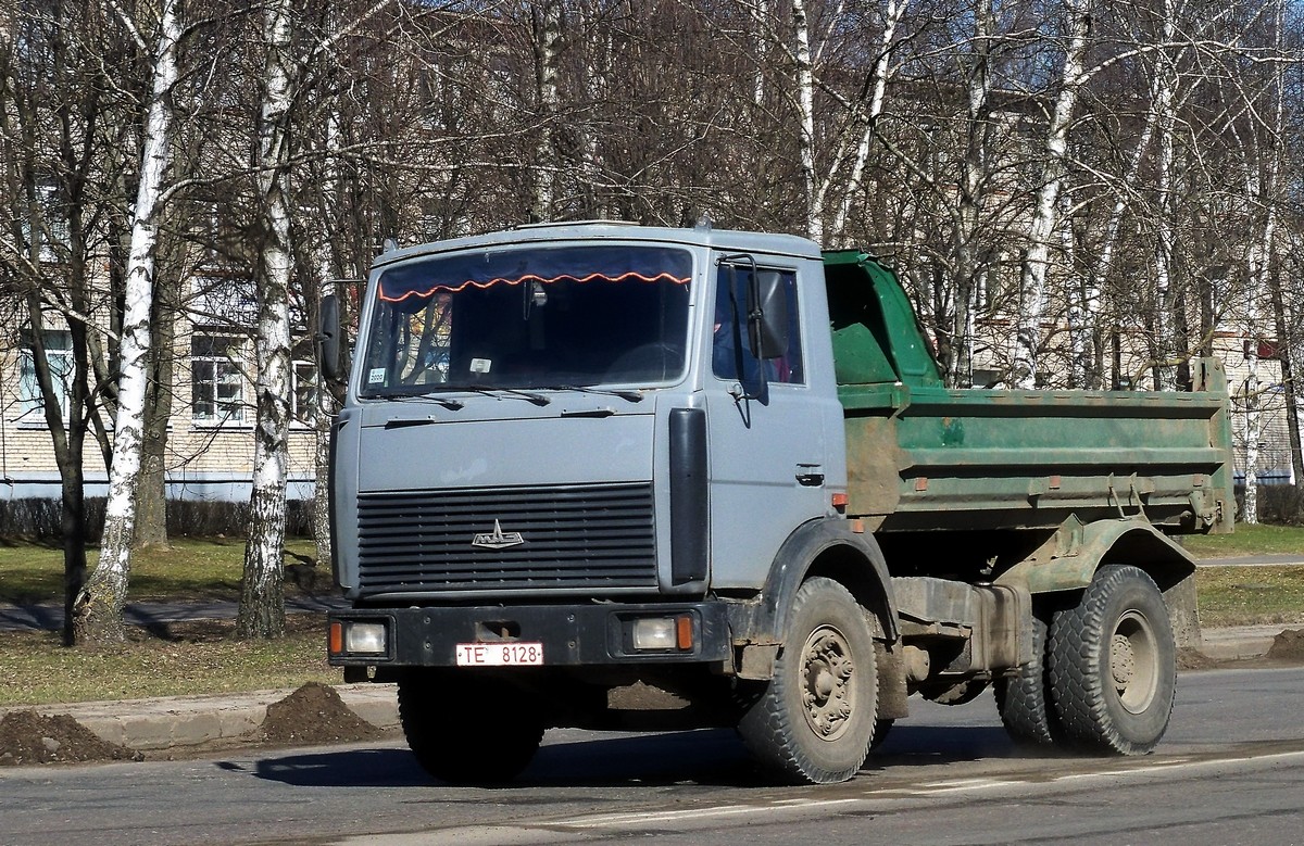 Могилёвская область, № ТЕ 8128 — МАЗ-5551 (общая модель)