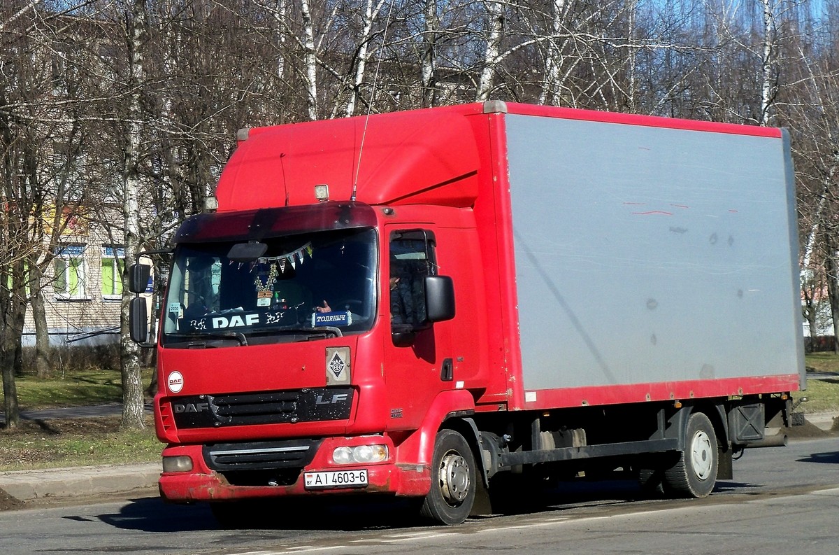 Могилёвская область, № АІ 4603-6 — DAF LF (общая модель)