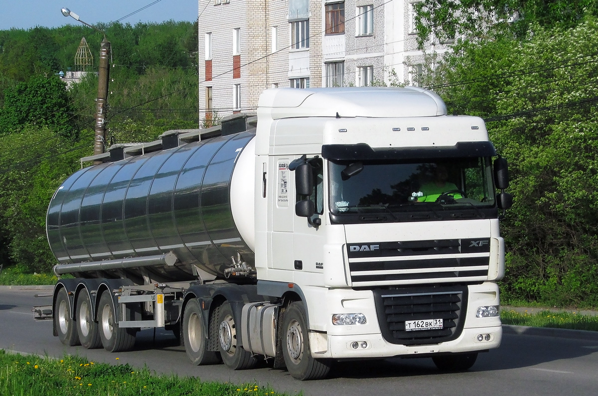 Белгородская область, № Т 162 ВК 31 — DAF XF105 FTG