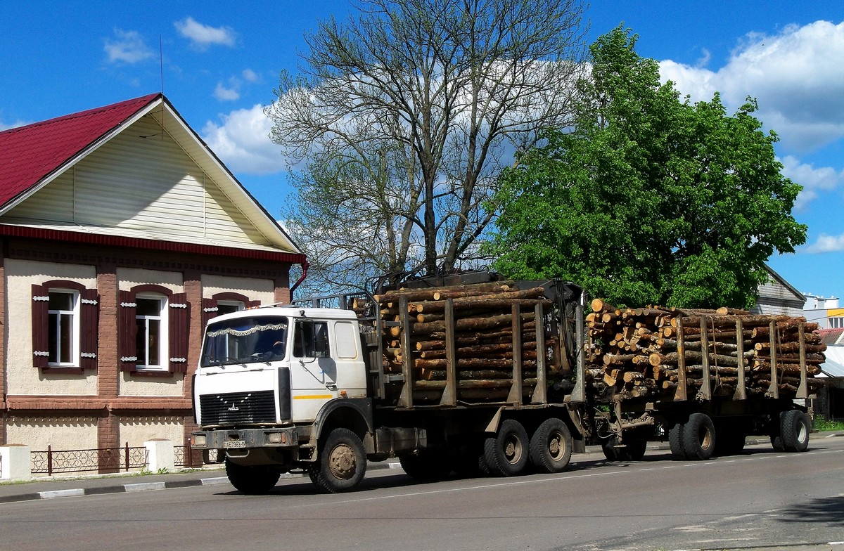 Могилёвская область, № АЕ 7383-6 — МАЗ-6303 (общая модель)