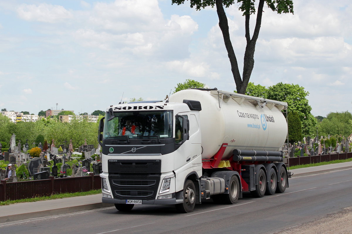 Польша, № WGM 4465A — Volvo ('2012) FH.460