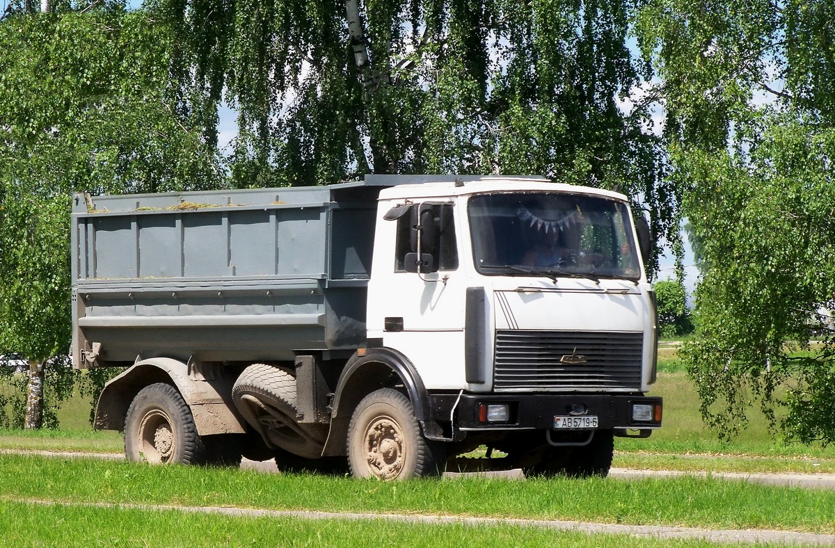 Могилёвская область, № АВ 5719-6 — МАЗ-5551 (общая модель)