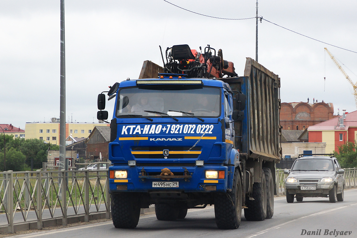 Архангельская область, № М 495 НС 29 — КамАЗ-43118-46