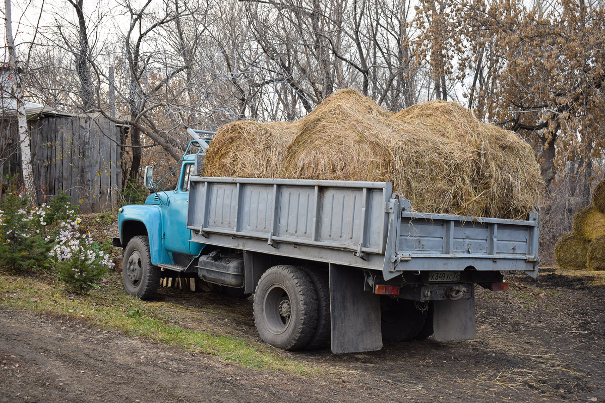 Алтайский край, № Х 349 ХС 22 — ЗИЛ-431410