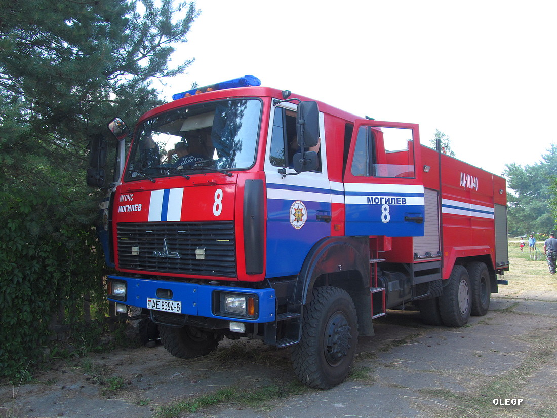 Могилёвская область, № АЕ 8394-6 — МАЗ-6317 (общая модель)