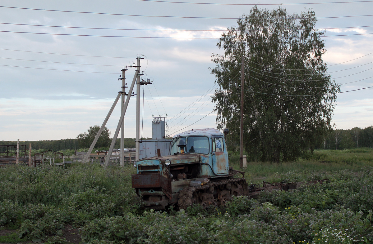 Новосибирская область, № (54) Б/Н СТ 0002 — ДТ-75М (ПТЗ); Новосибирская область — Спецтехника с нечитаемыми (неизвестными) номерами