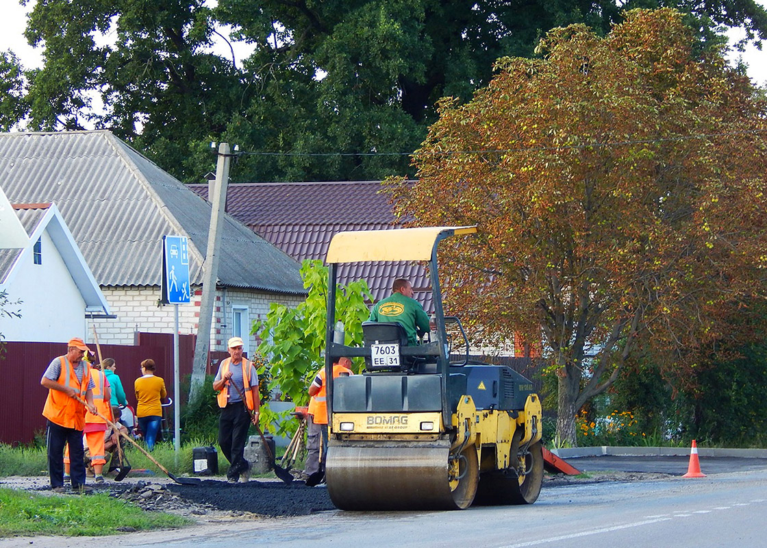 Белгородская область, № 7603 ЕЕ 31 — Bomag (общая модель)