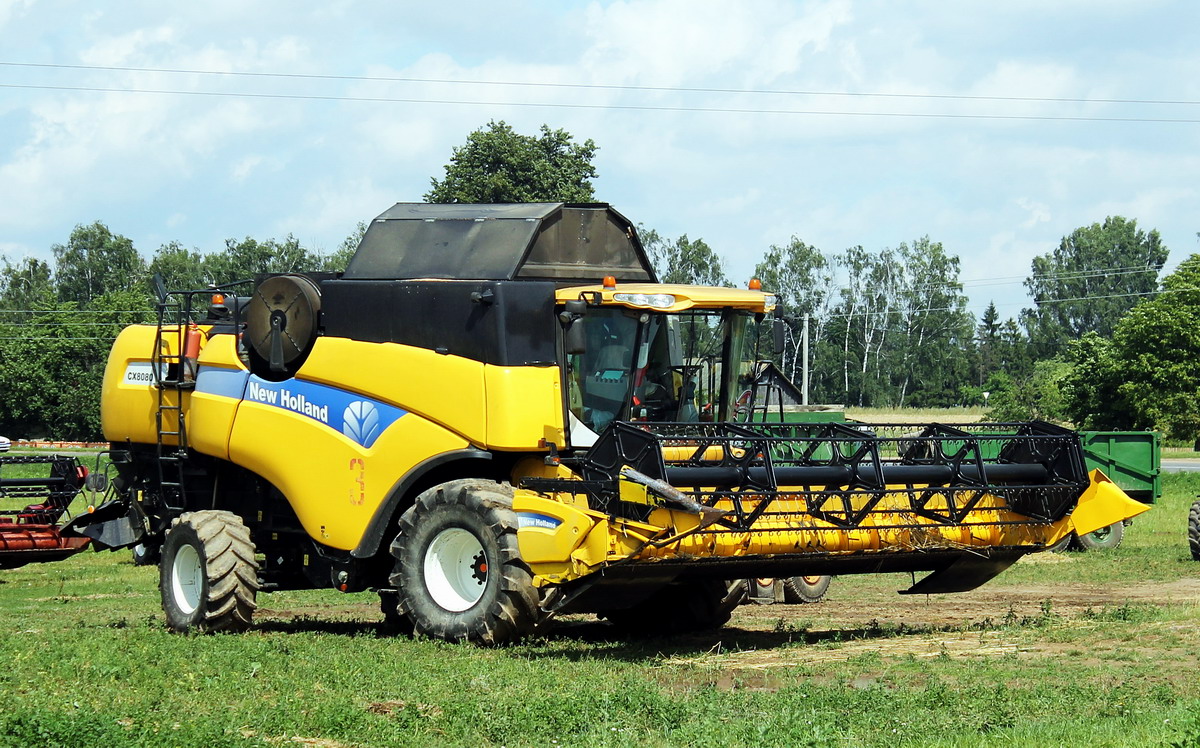 Могилёвская область, № 3 — New Holland CX8080