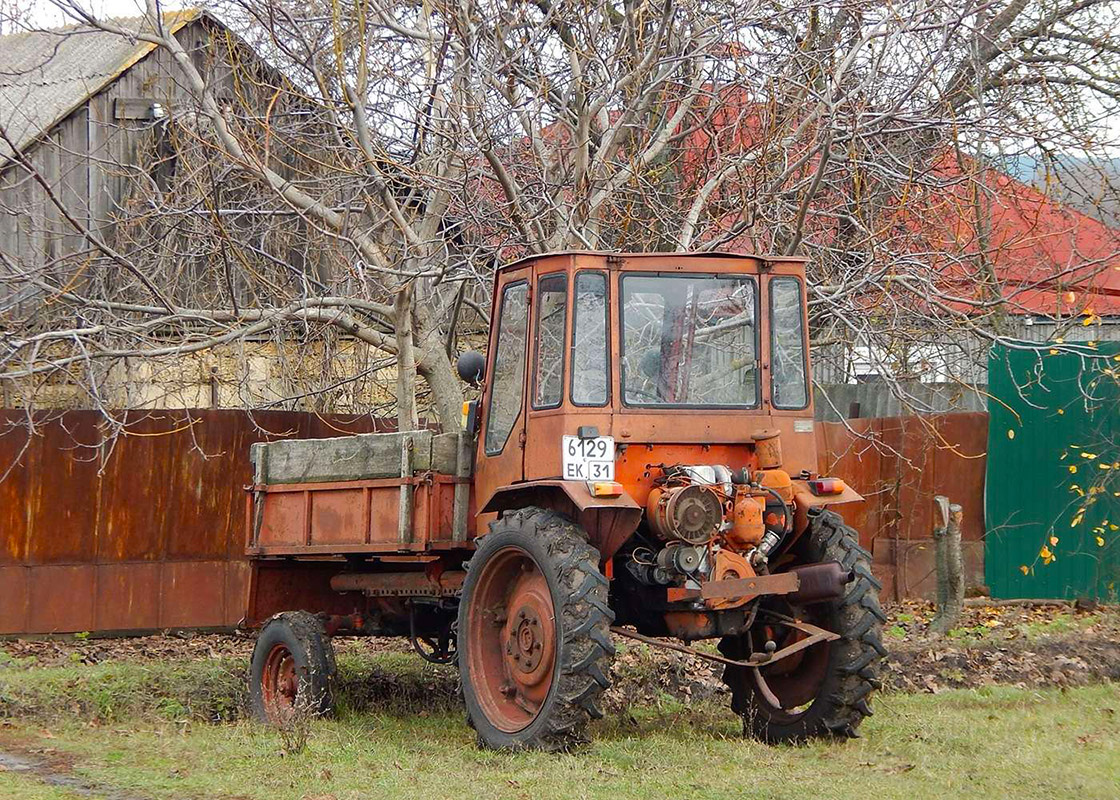 Белгородская область, № 6129 ЕК 31 — Т-16 (общая модель)