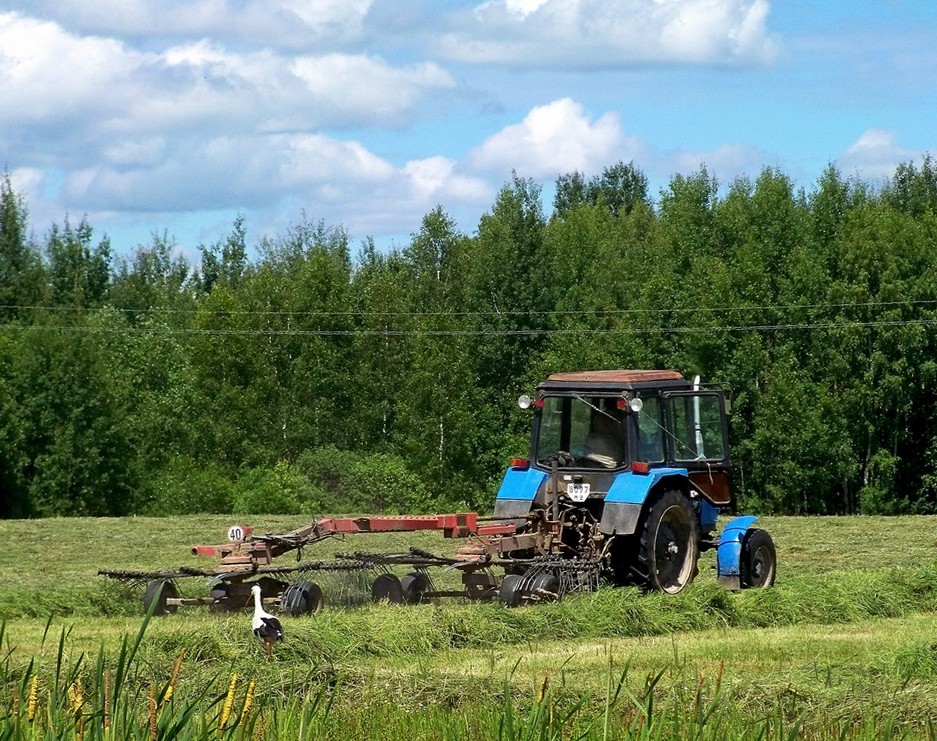 Могилёвская область, № 8077 МВ — Беларус-82.1