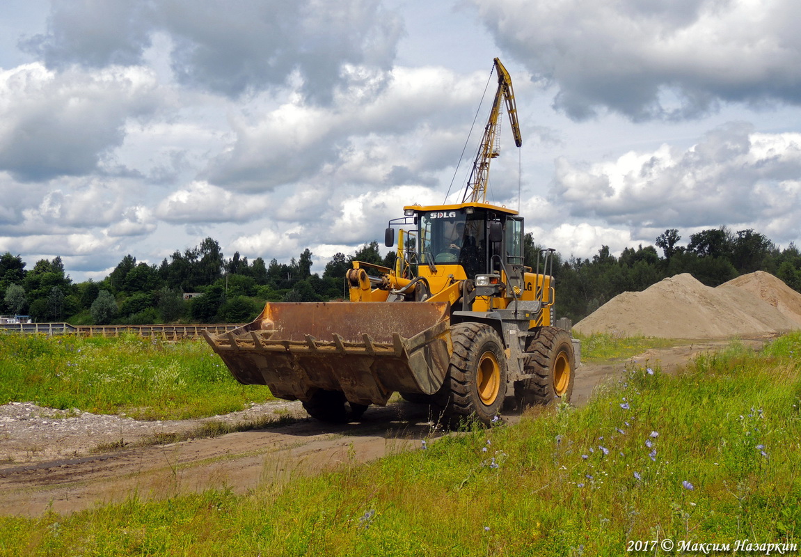 Рязанская область, № 8161 ОР 50 — SDLG LG956